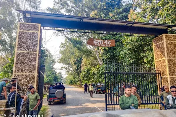 Dhela Gate Tiger Jeep Safari Jim Corbett National Park Ramnagar Uttarakhand 596x408 1 Edited