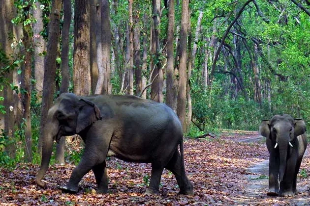 Durga Devi Zone Edited