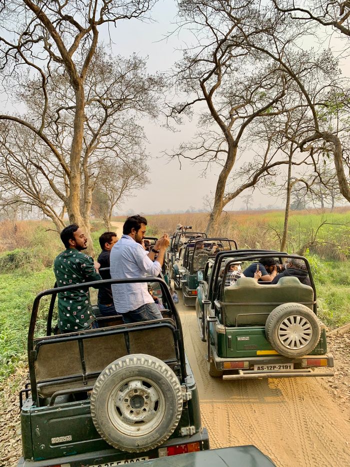 Home Tourists enjoy a thrilling jeep safari through the scenic landscapes of Kanchanjuri, India.
