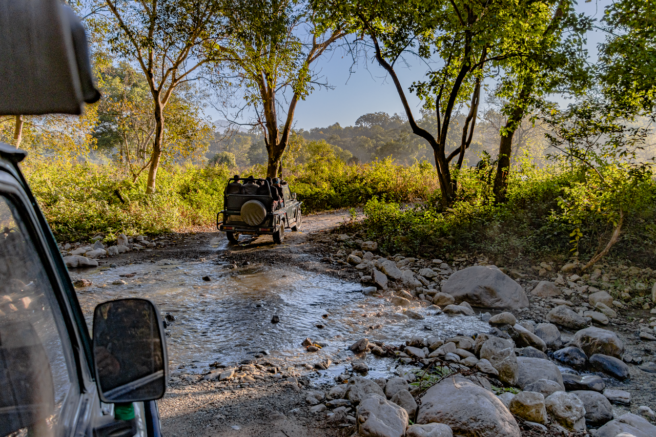 Explore the wilderness of Uttarakhand with an off-road safari adventure.
