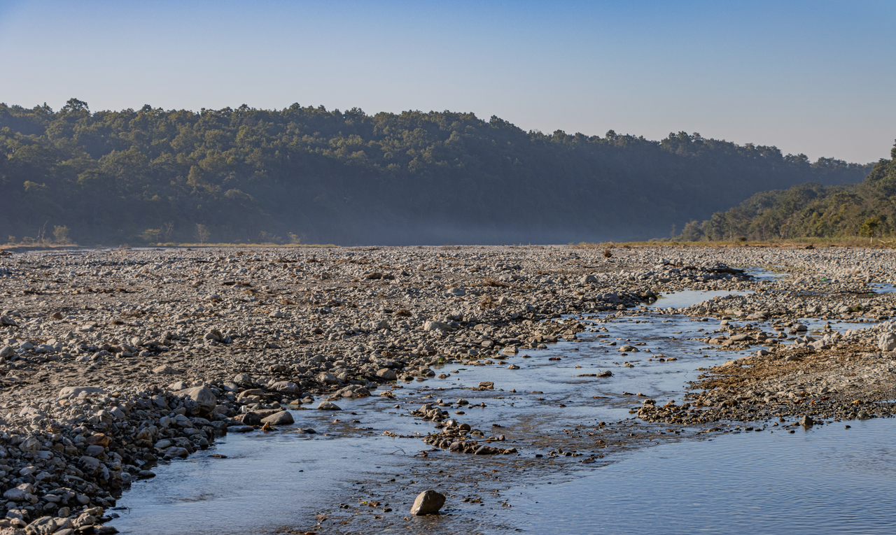 A tranquil riverbed runs through a rocky terrain with forests in Uttarakhand, India.