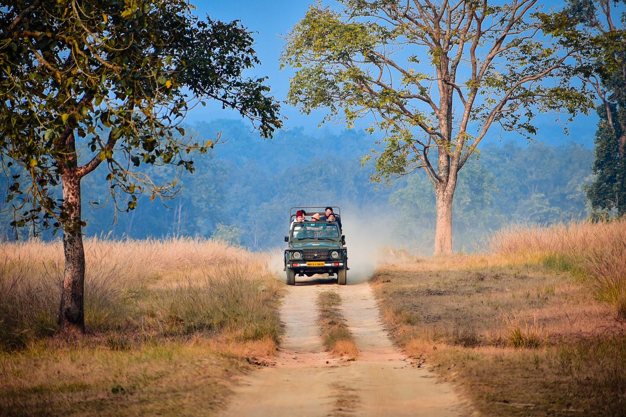 Explore the thrill of a jeep safari through the lush jungles of Madhya Pradesh, India.
